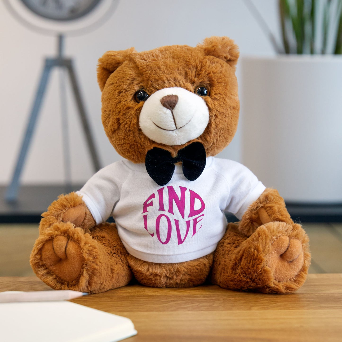 Valentine's Day Special Teddy Bear - Limited Edition 'Find Love' Plush